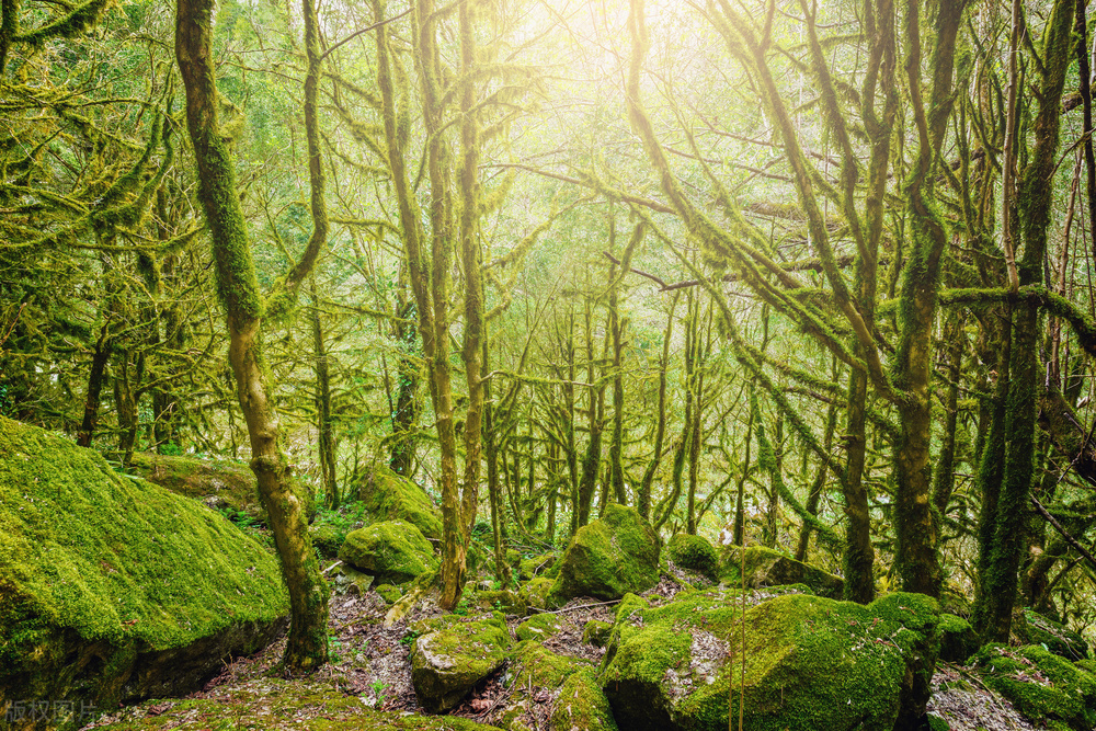 比较有诗情画意的五绝,最美五言绝句楷书古诗18首