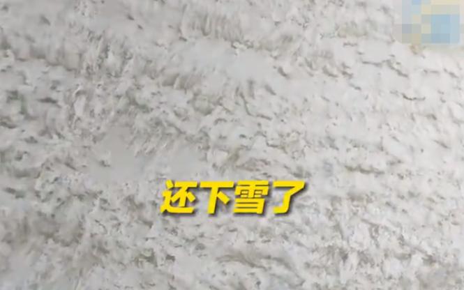 不敢洗车？吉林男子改造貂皮福特，洗一次至少亏3万