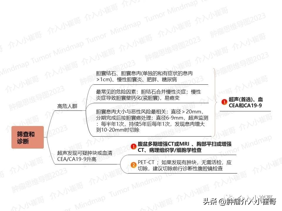 CSCO2023肿瘤思维导图胆囊癌诊疗指南