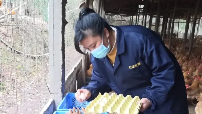 优秀巾帼人物事迹,优秀巾帼人物公示