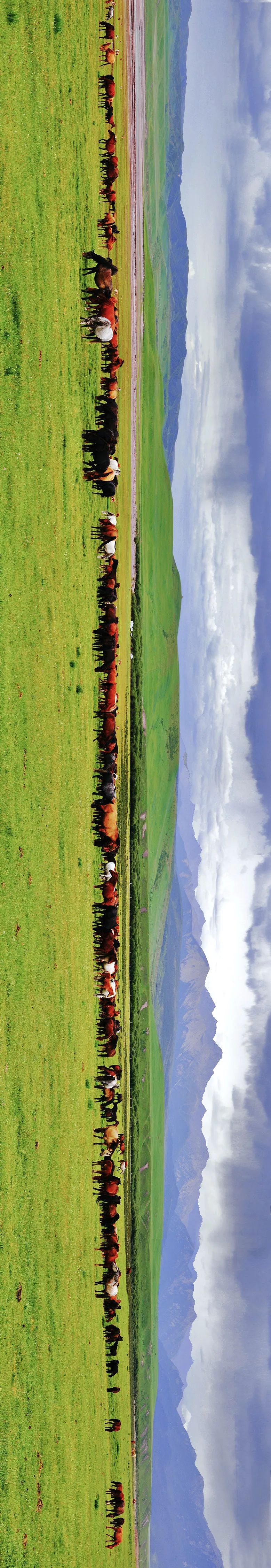 甘肃张掖有多少极致风光,甘肃张掖城市风光