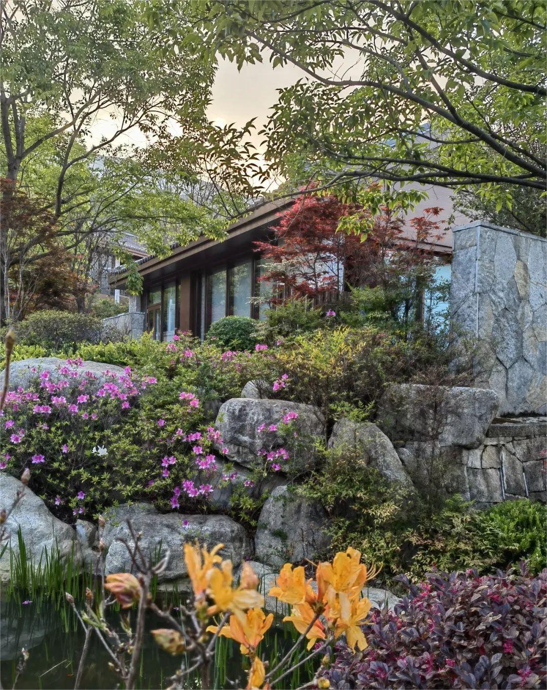 你们都说人多，我却找到一个人少又神仙的地方！