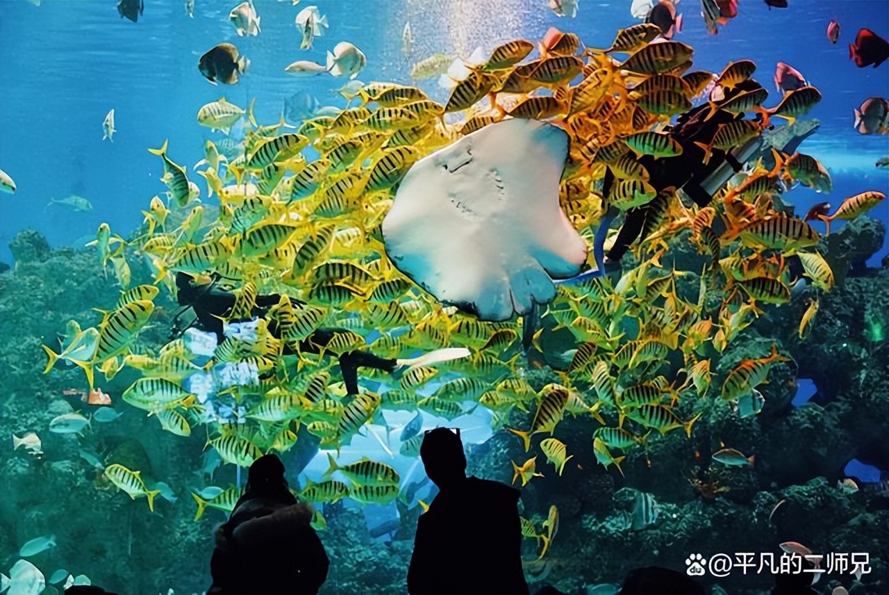 芜湖旅游推荐哪个区好,芜湖算是出名的旅游地点吗
