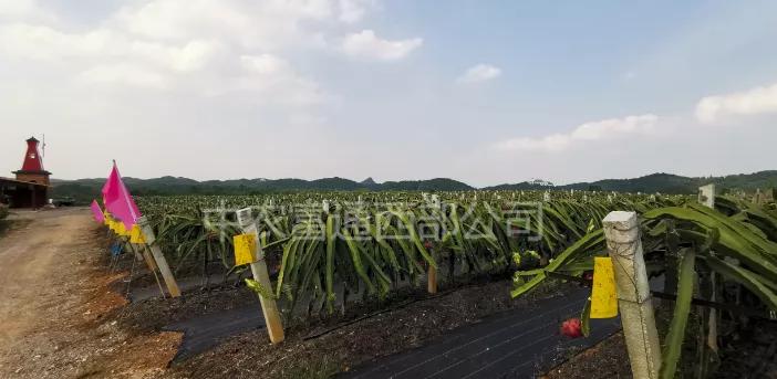 农业旅游开发补贴有哪些,开展乡村旅游能享受哪些政策补贴