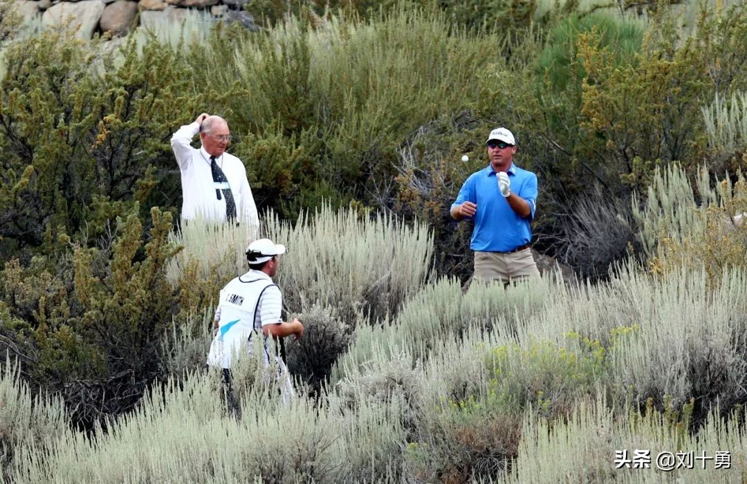 高尔夫球新规什么情况下可以动球,高尔夫球新规什么时候改的