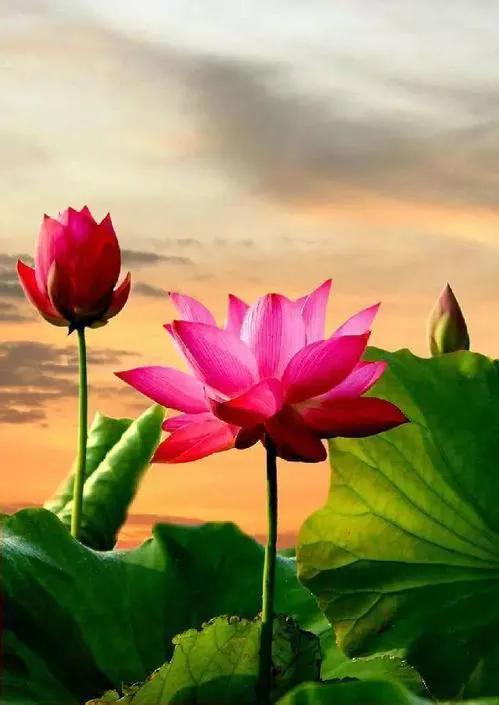 春树的人生格言书籍,人生书籍里的经典语录大全