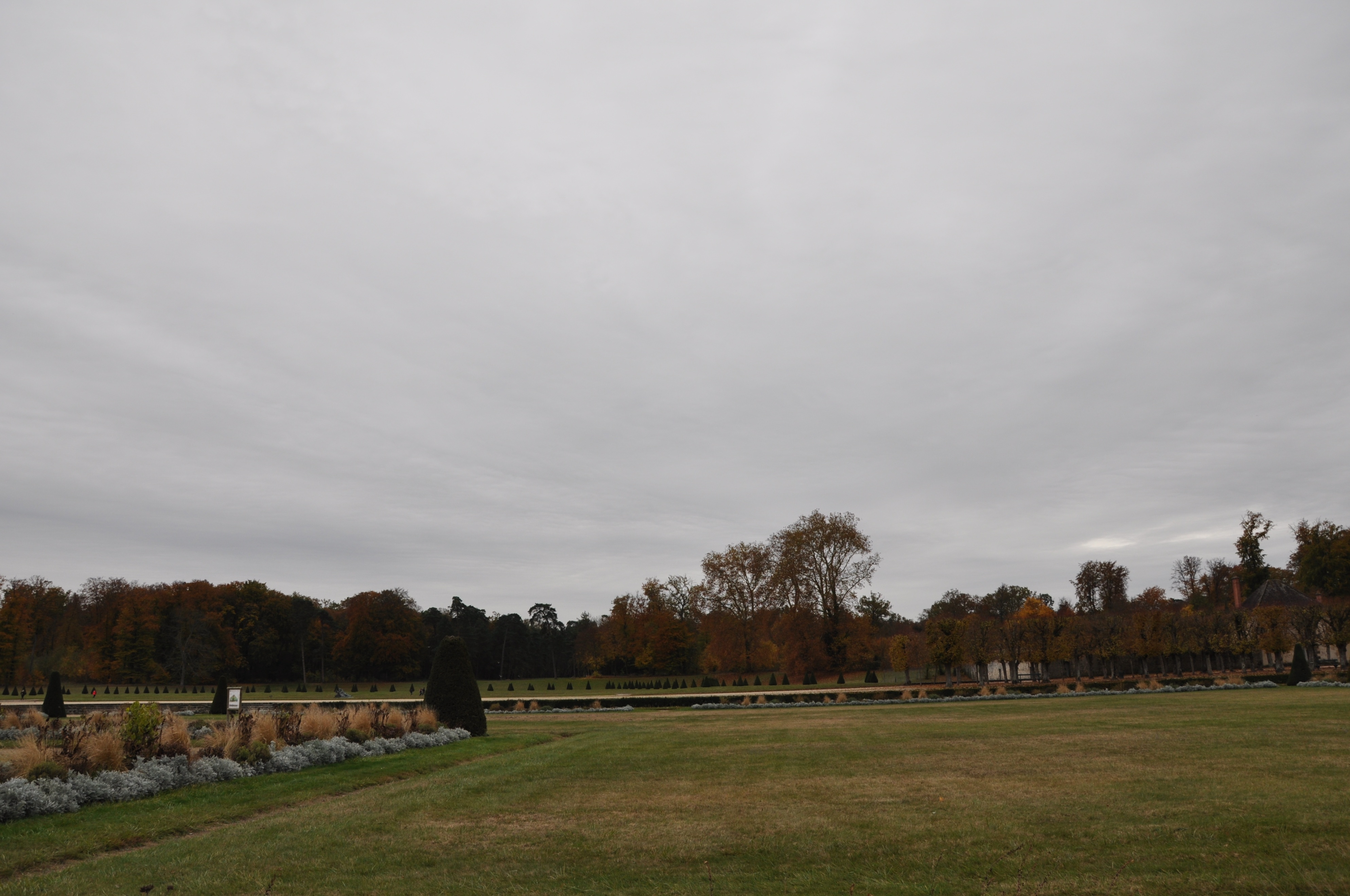 枫丹白露宫名字由来,枫丹白露宫殿俯视图解