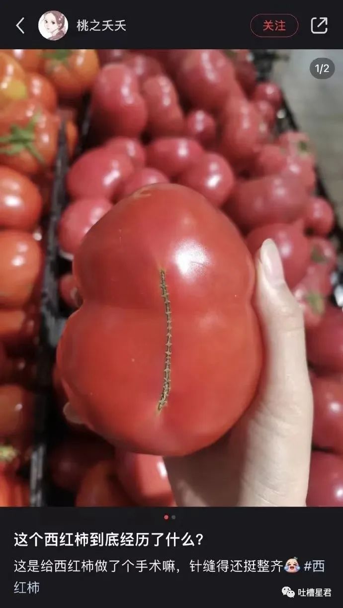 买爱马仕被看不起,花五十多万买爱马仕