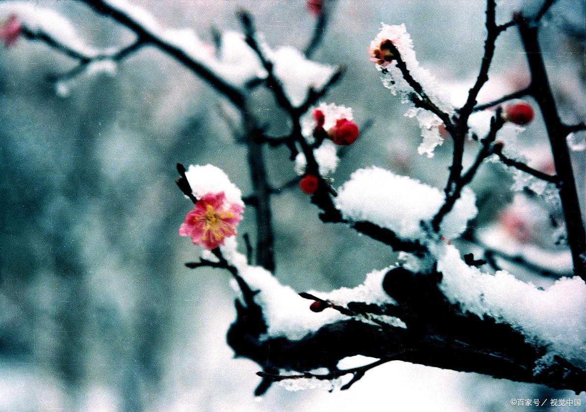 十首最美的冬日暖阳诗词,适合冬天的优美句子诗词