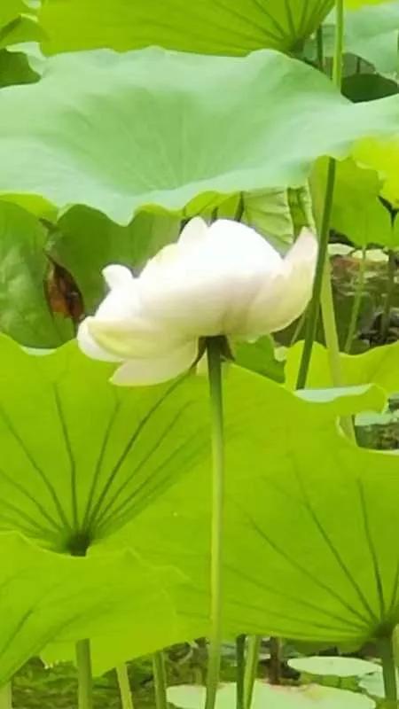 如何学到投资的知识和技巧,教你学习投资方法