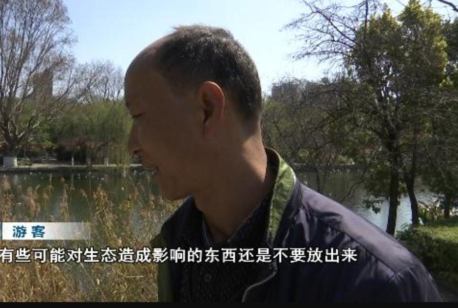 鍖楃編槌勯緹浼氬挰鏂墜鎸囧悧,鏄嗘槑鍙戠幇槌勯緹