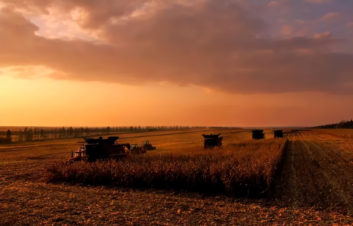 北大荒为什么退林还耕,北大荒当年咋样开垦的