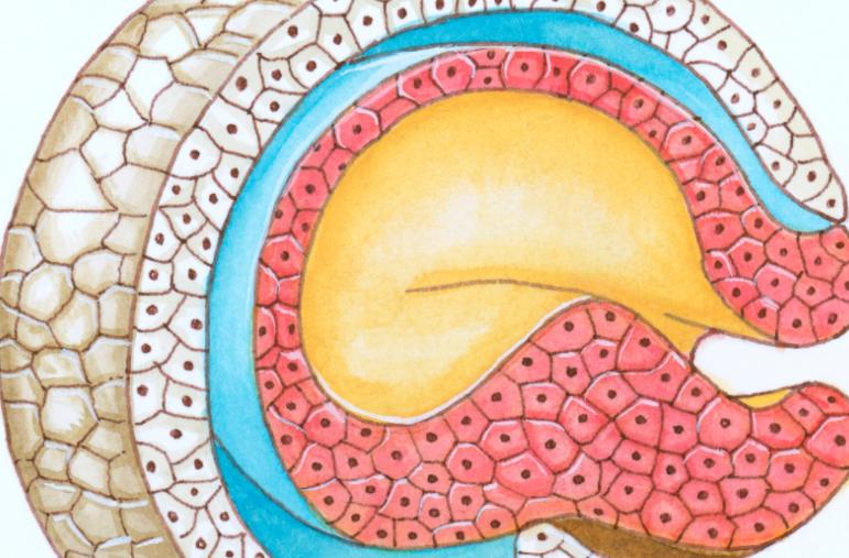 爱干净小常识,爱干净的四种习惯