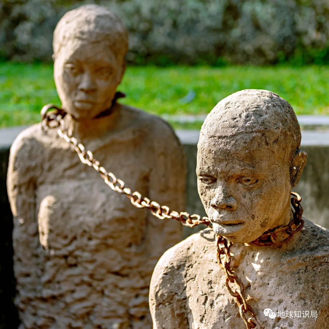 荷兰媒体道歉,荷兰裁判误判道歉