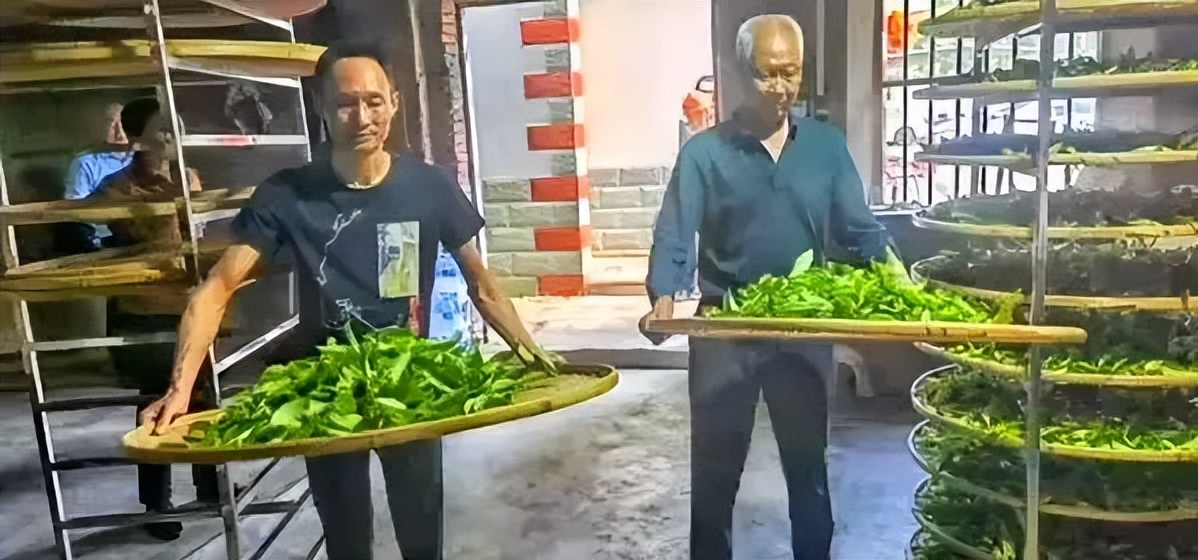 双洋南洋水仙在洋作者：詹鄞森