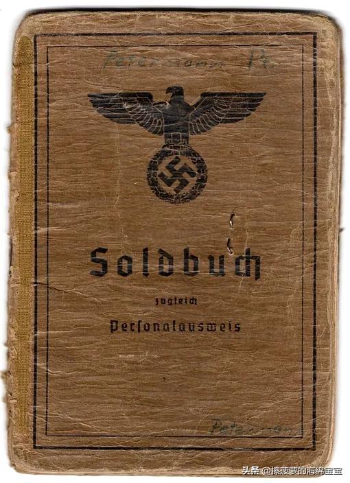 二战时德国军人的肩章,二战德国兵种领章