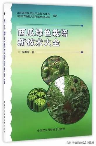 种西瓜去打工挣钱吗,90后回村创业种西瓜
