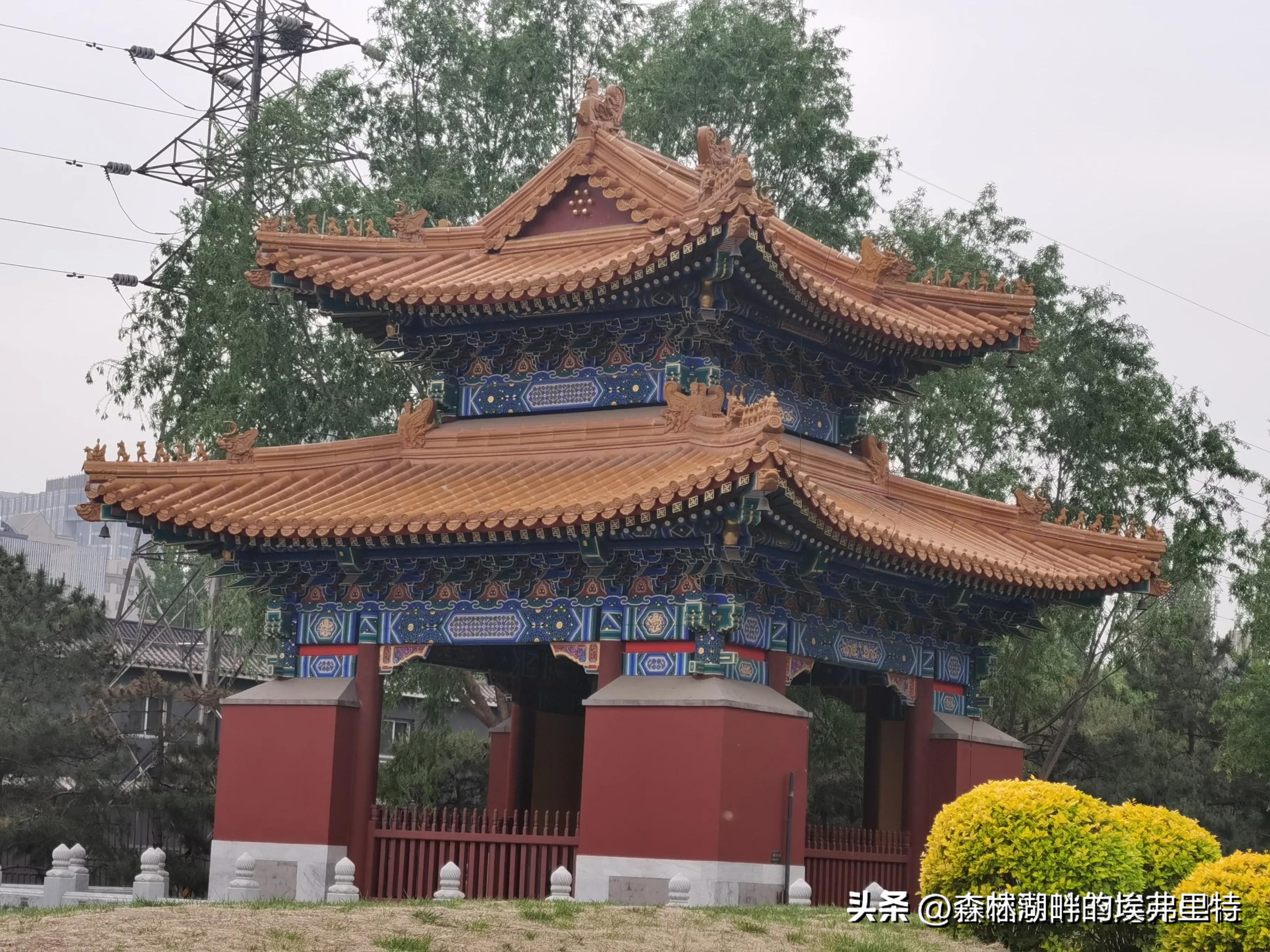 北京庆丰公园里的“神木”