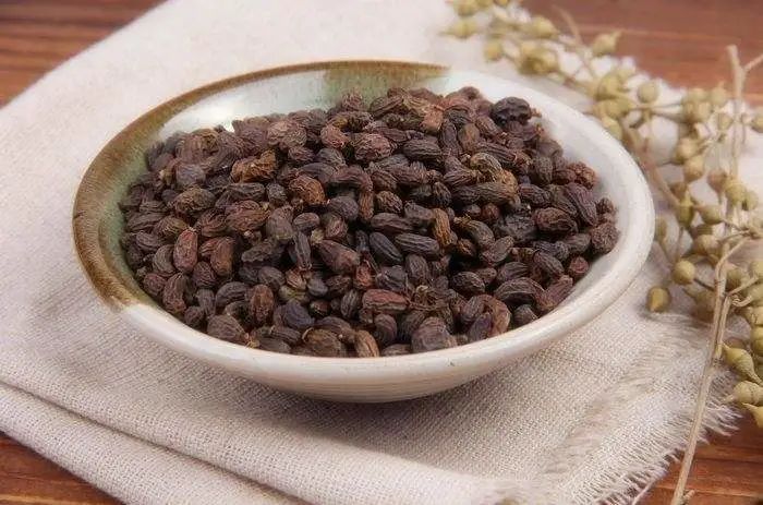 国医大师柴嵩岩：治疗闭经经验