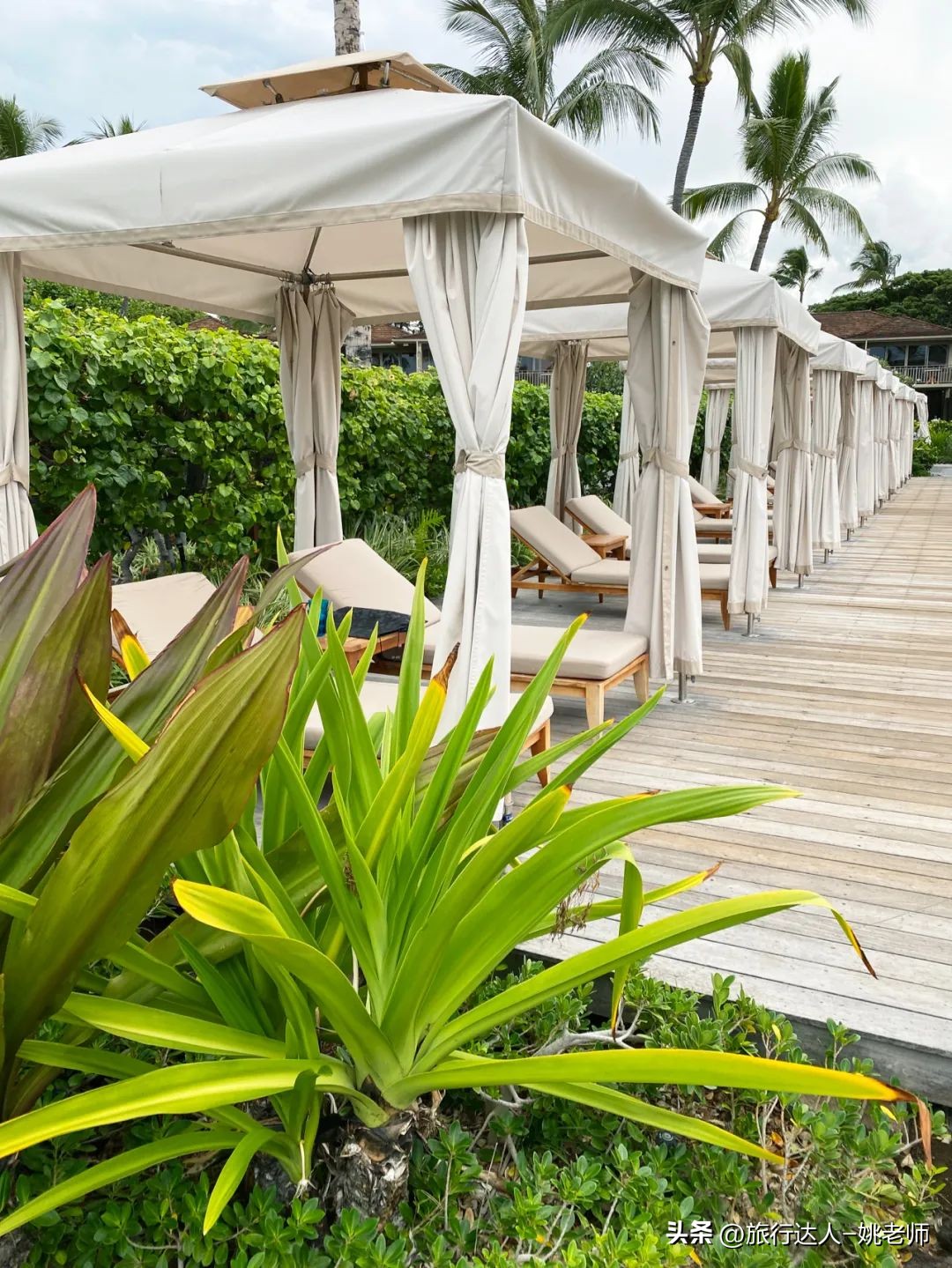 夏威夷的活火山喷发,夏威夷火山喷发大岛还能旅游吗