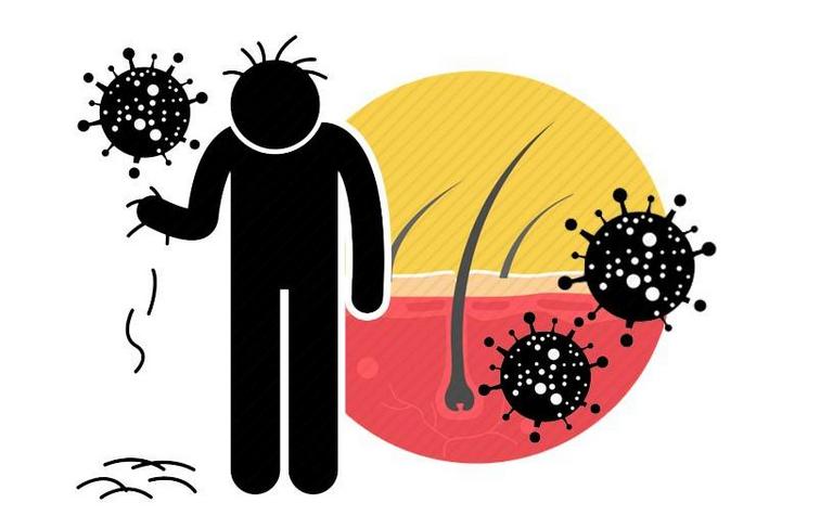 一个毛囊植发多少钱,植发不花冤枉钱在线了解植发价格