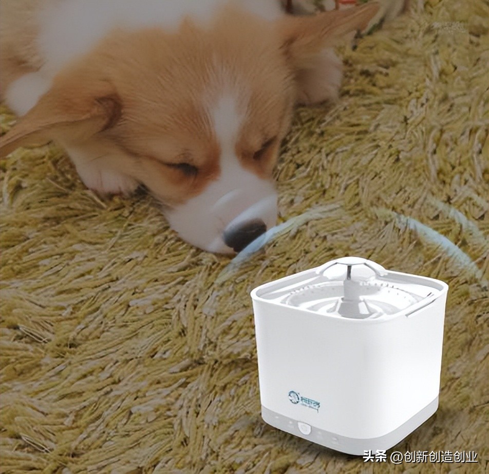 来旺兄弟宠物饮水机使用教程,爱宠饮水机