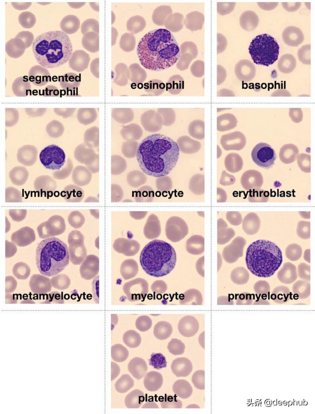 特殊图像的色彩特征工程：非自然图像的颜色编码