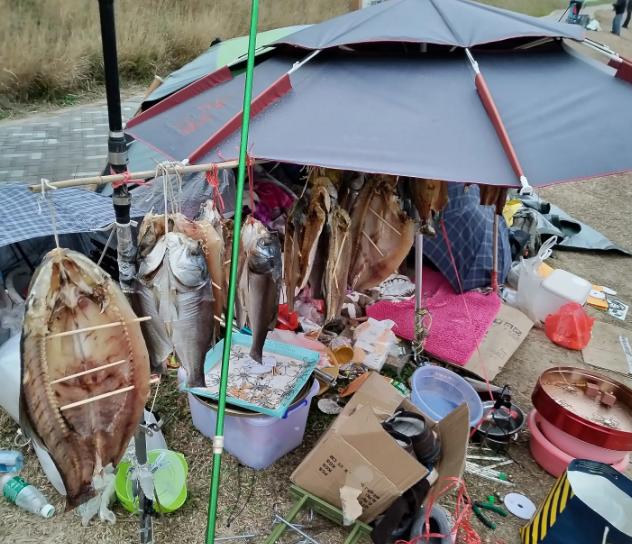 南宁邕江边现职业钓鱼人,一天卖鱼五六百,既能玩又能赚钱你羡慕么