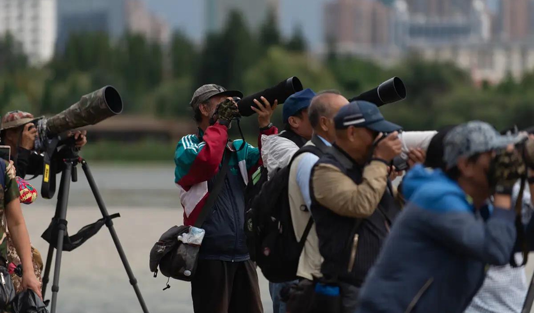 新手微单镜头怎么选？一步到位最省钱吗？索尼E卡口微单镜头推荐