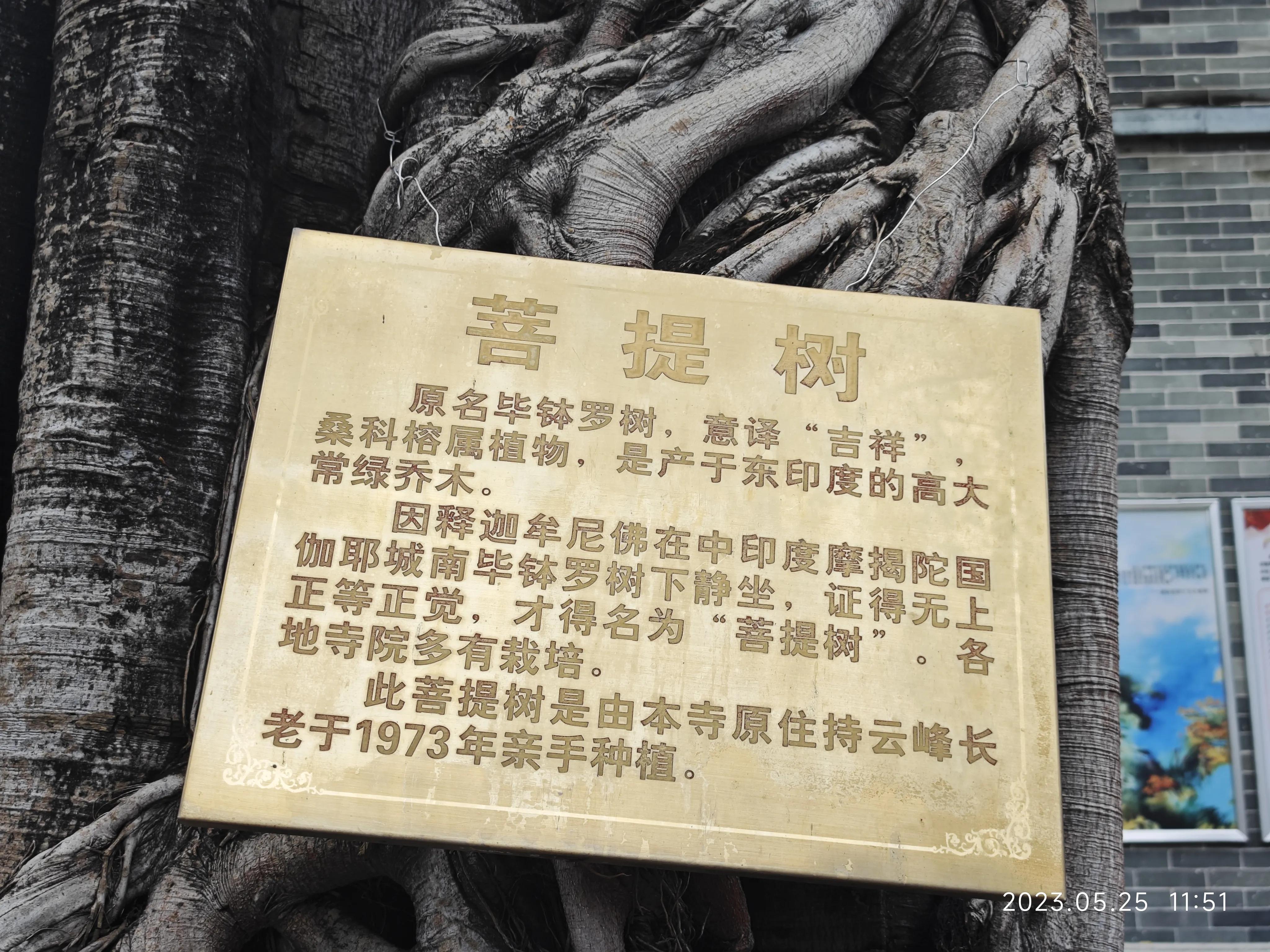 广州六榕寺求什么最灵,广州六榕寺传奇的寺庙