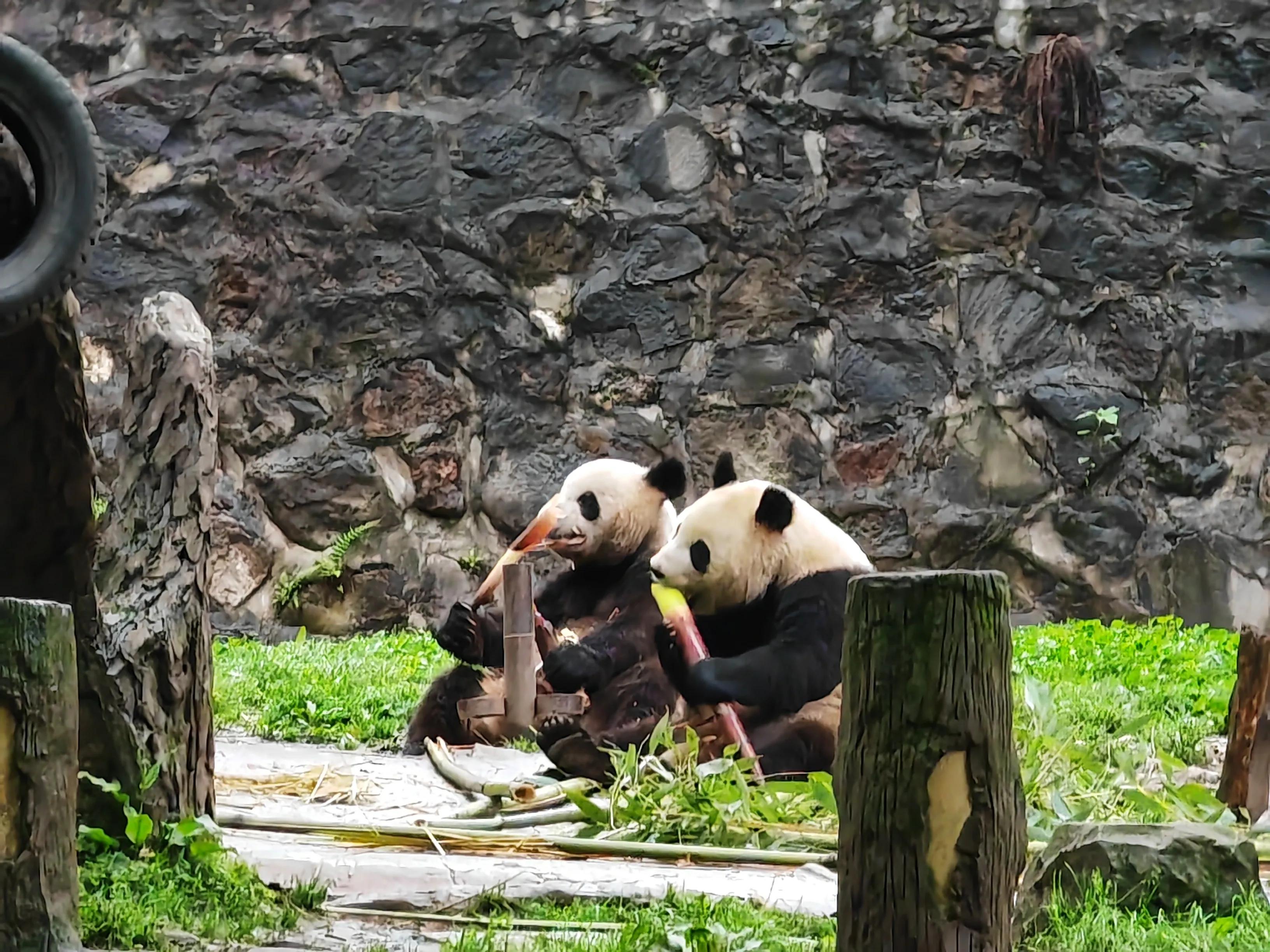保险公司免费旅游骗局揭秘,免费体验旅游到底靠谱吗