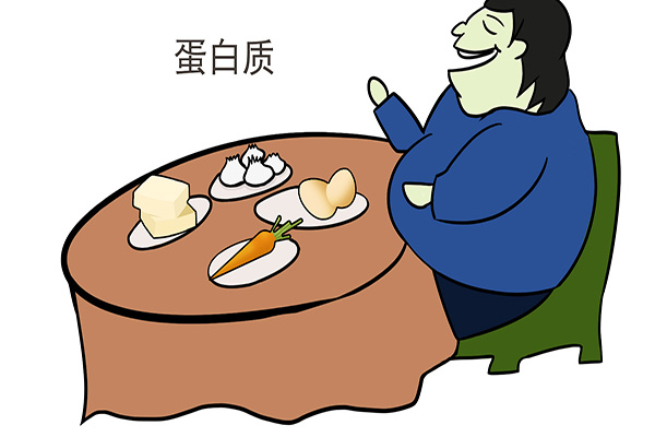 高蛋白食物促进骨折愈合吗,骨折需补钙吃哪种食物更有效