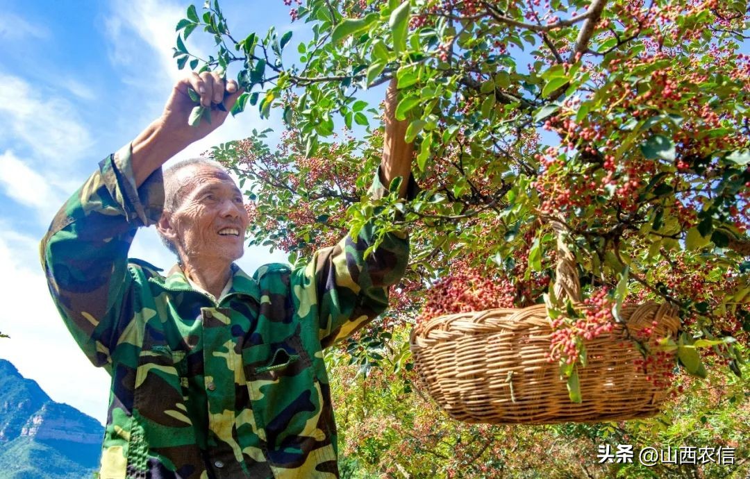 看见农信｜汇通千万里服务零距离