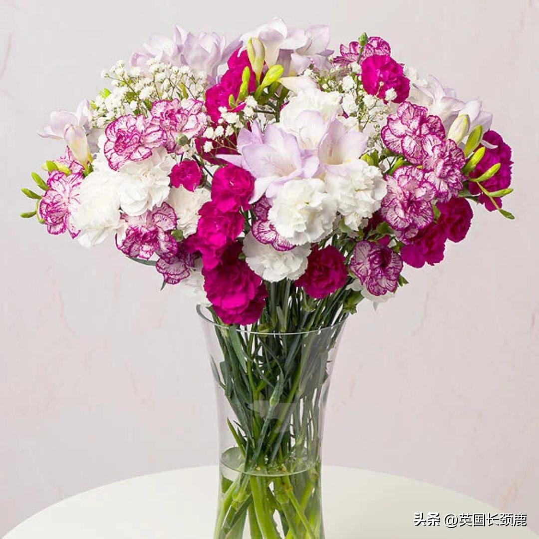 全英线上订花攻略：情人节限定fafa～爱你的心用花表示！