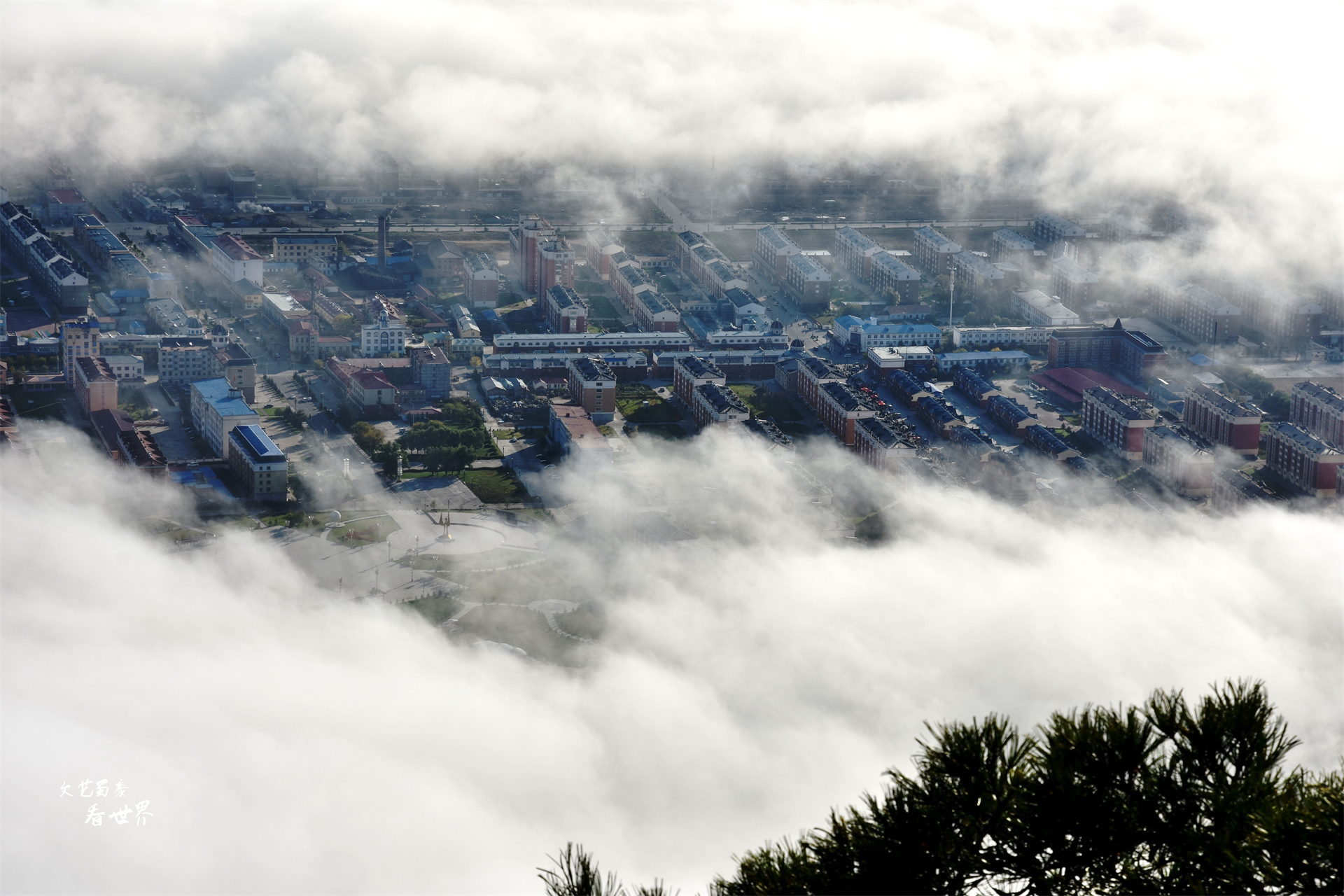 我国哪个城市避暑天堂,炎热的夏季太适合来伊春避暑了吗