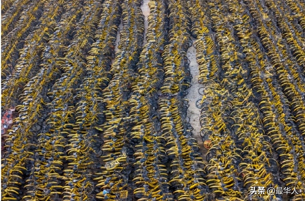 那个3年败光150亿，27岁当老赖的北大学霸，被人骂到现在