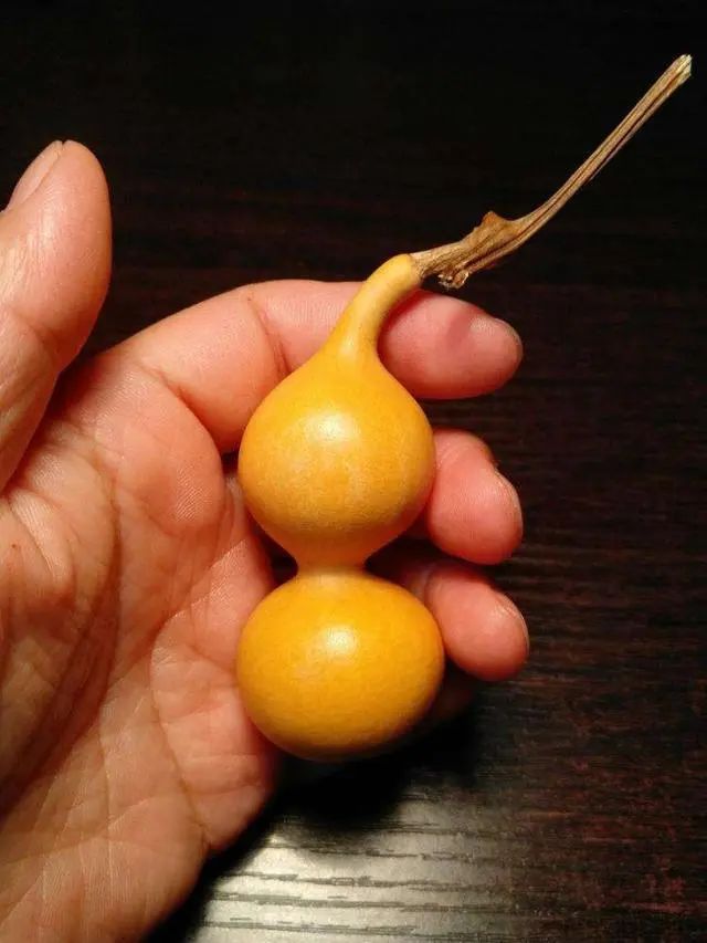 玩手捻葫芦,手捻葫芦多久包浆玉化