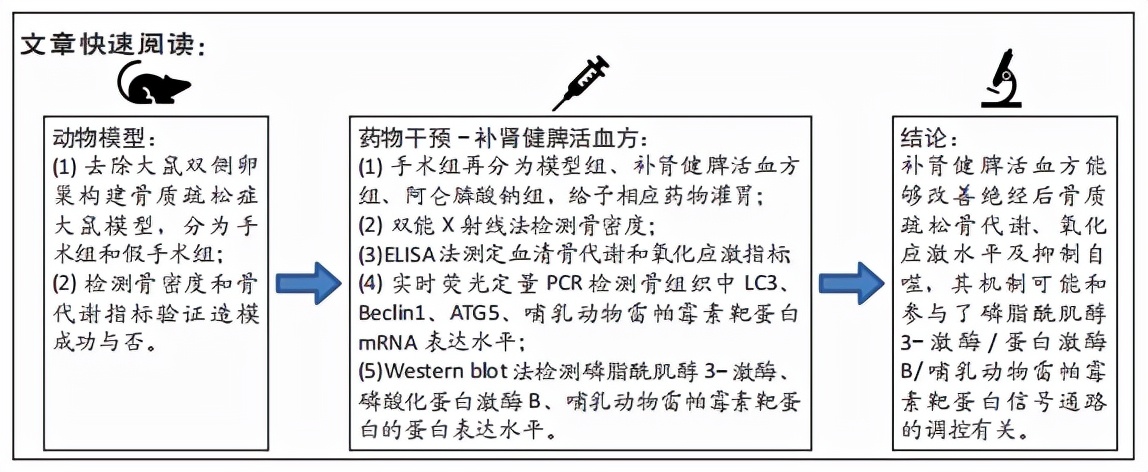 补肝肾强筋壮骨活血化瘀的中成药,骨质疏松补肾补肝能控制吗