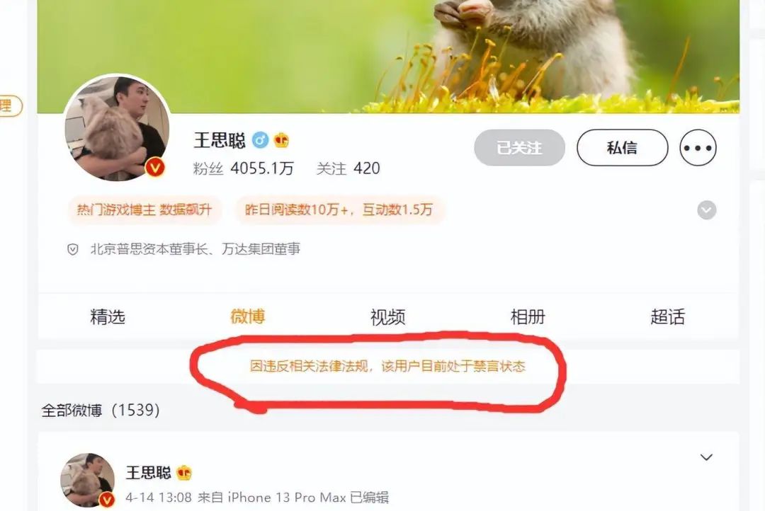 王思聪万达董事,王思聪万达酒店