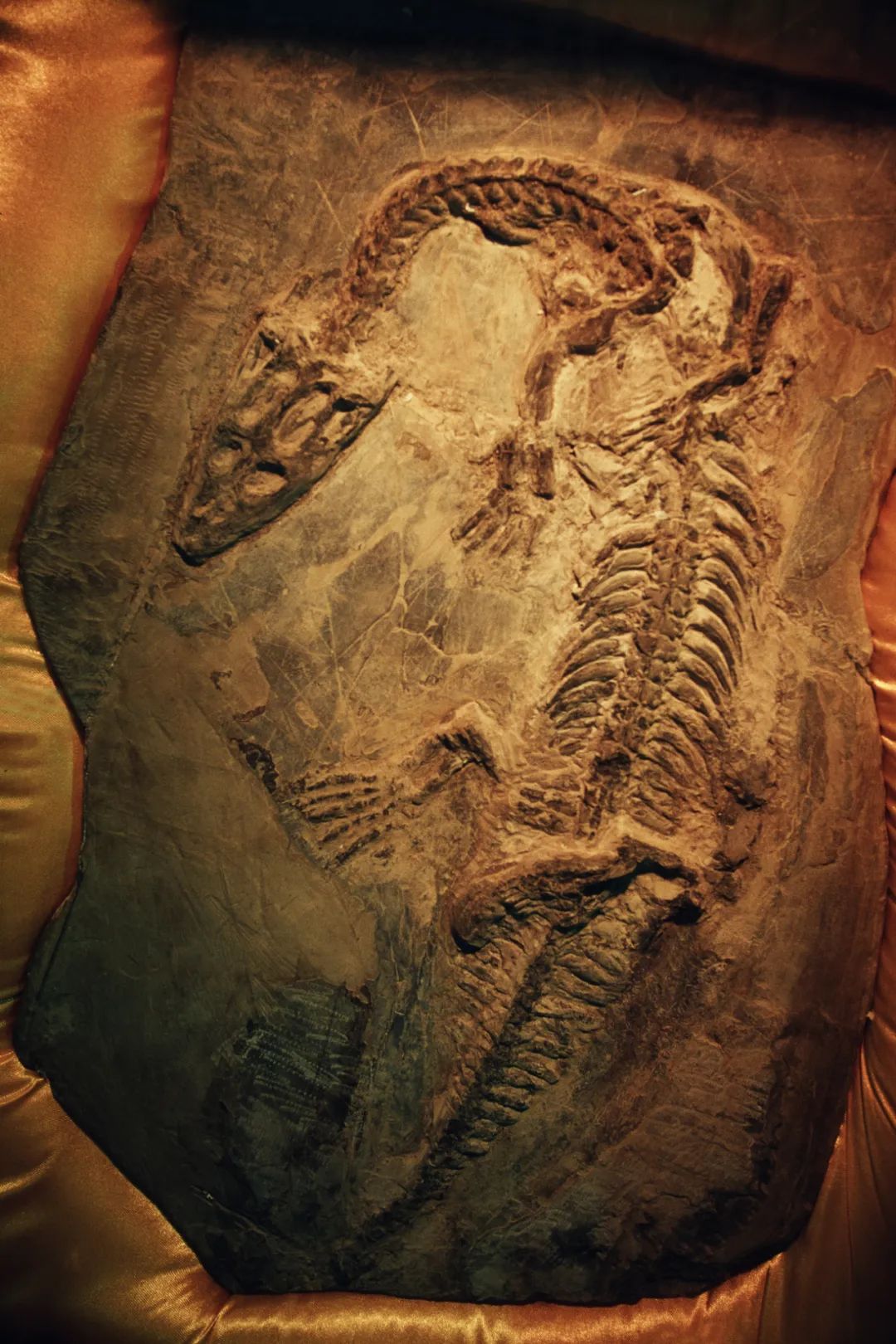 怎样才能了解中国真正的历史,怎么从头到尾了解中国的所有历史