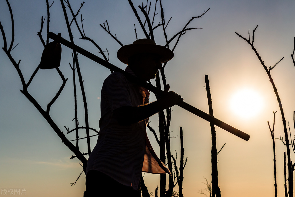 慧海拾贝什么意思,慧海拾贝的思想