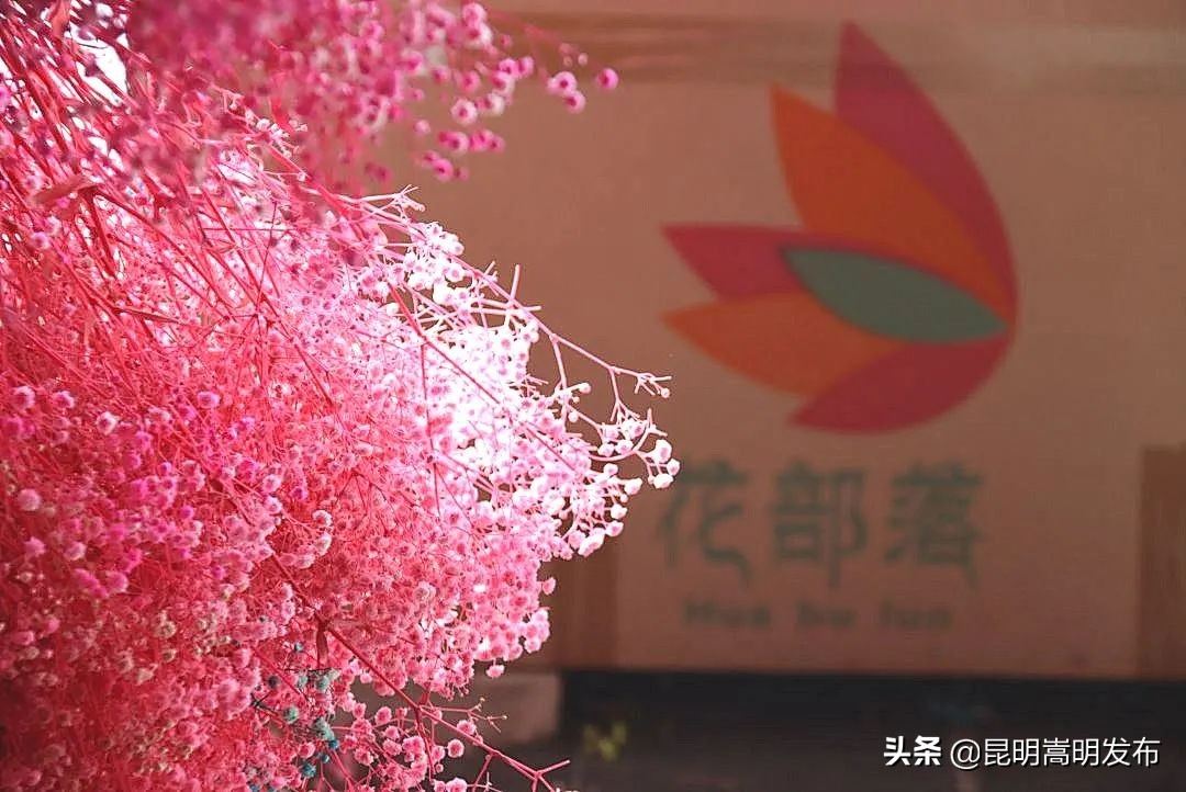 嵩明永生花店 (嵩明永生花)