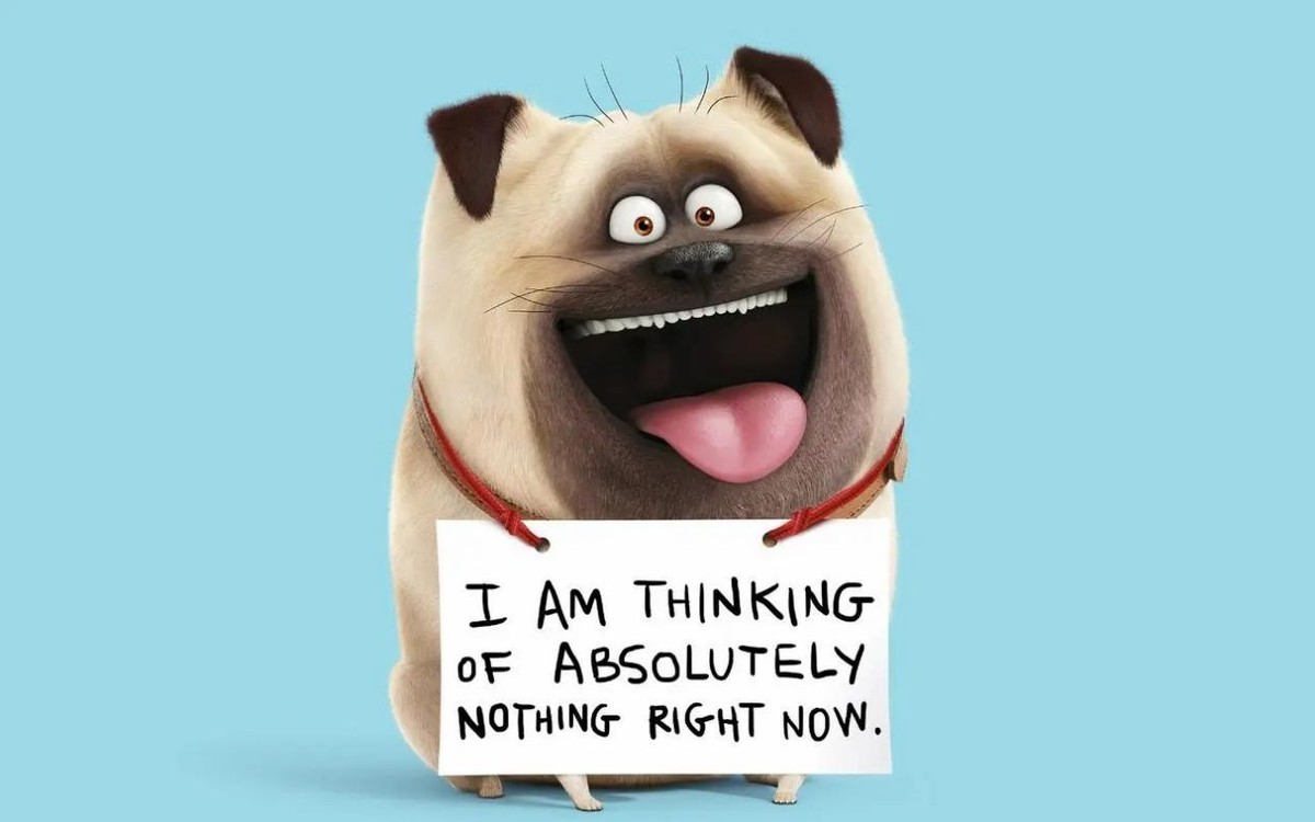 爱宠大机密这类电影推荐,welcometonewyork爱宠大机密