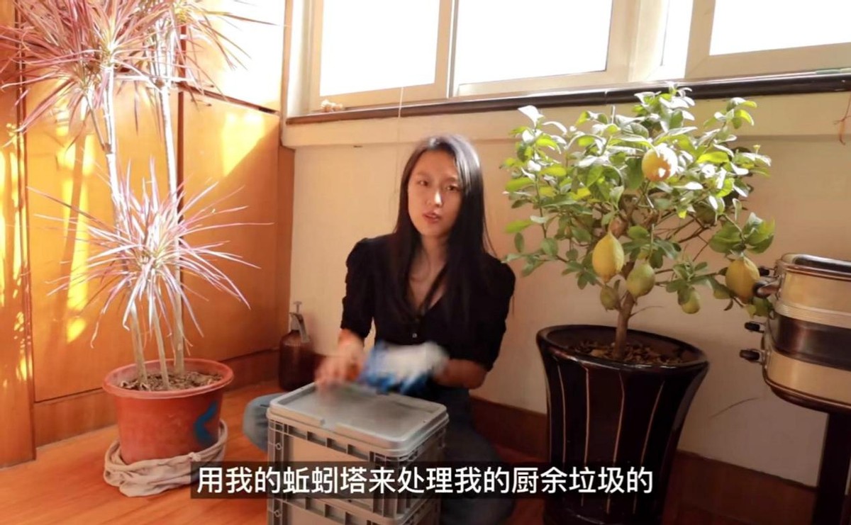 24岁美女爱上无痕生活，不用卫生巾，不点外卖，养300只蚯蚓堆肥