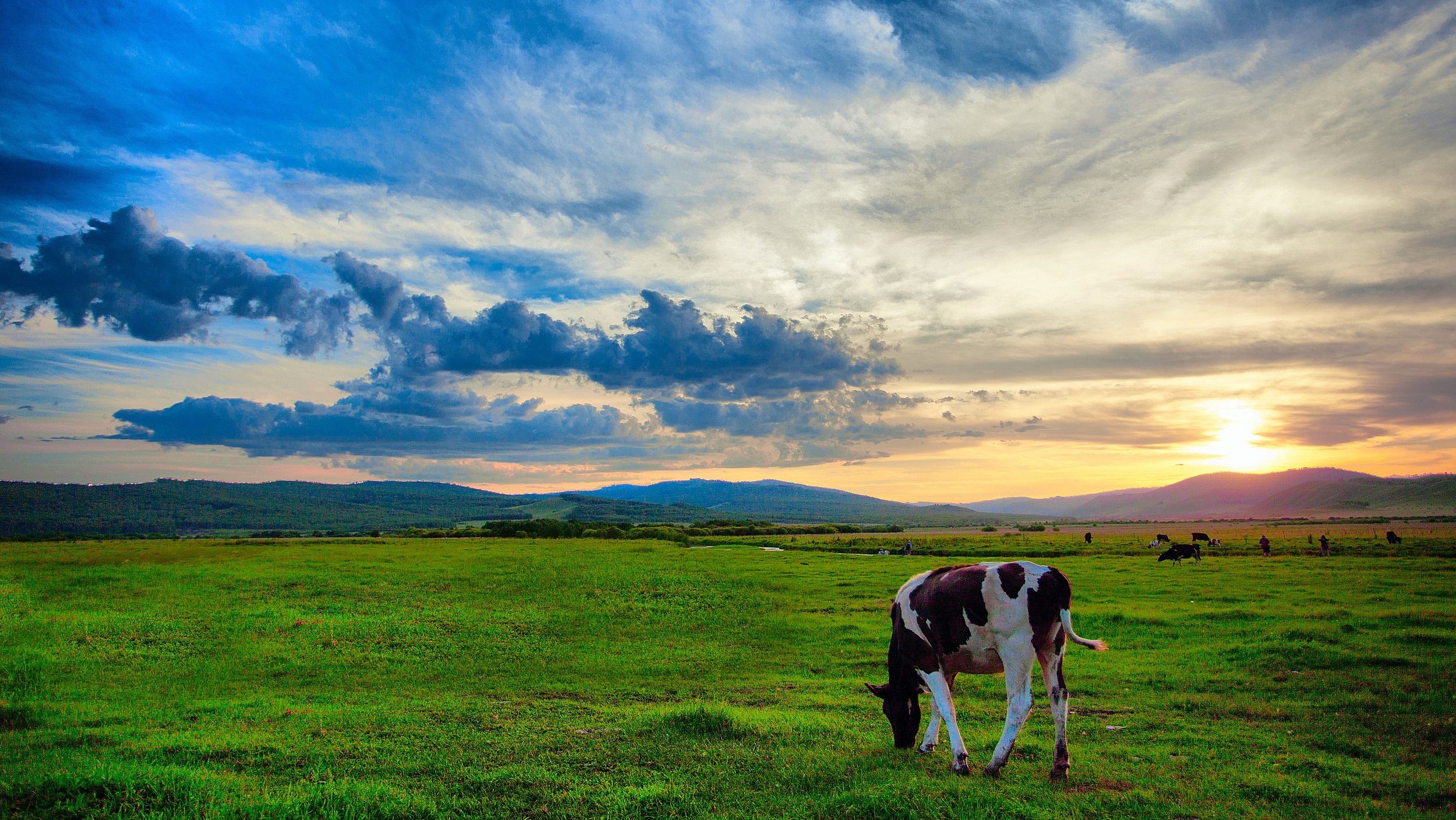 毕业旅行海边方案,暑期毕业旅行推荐