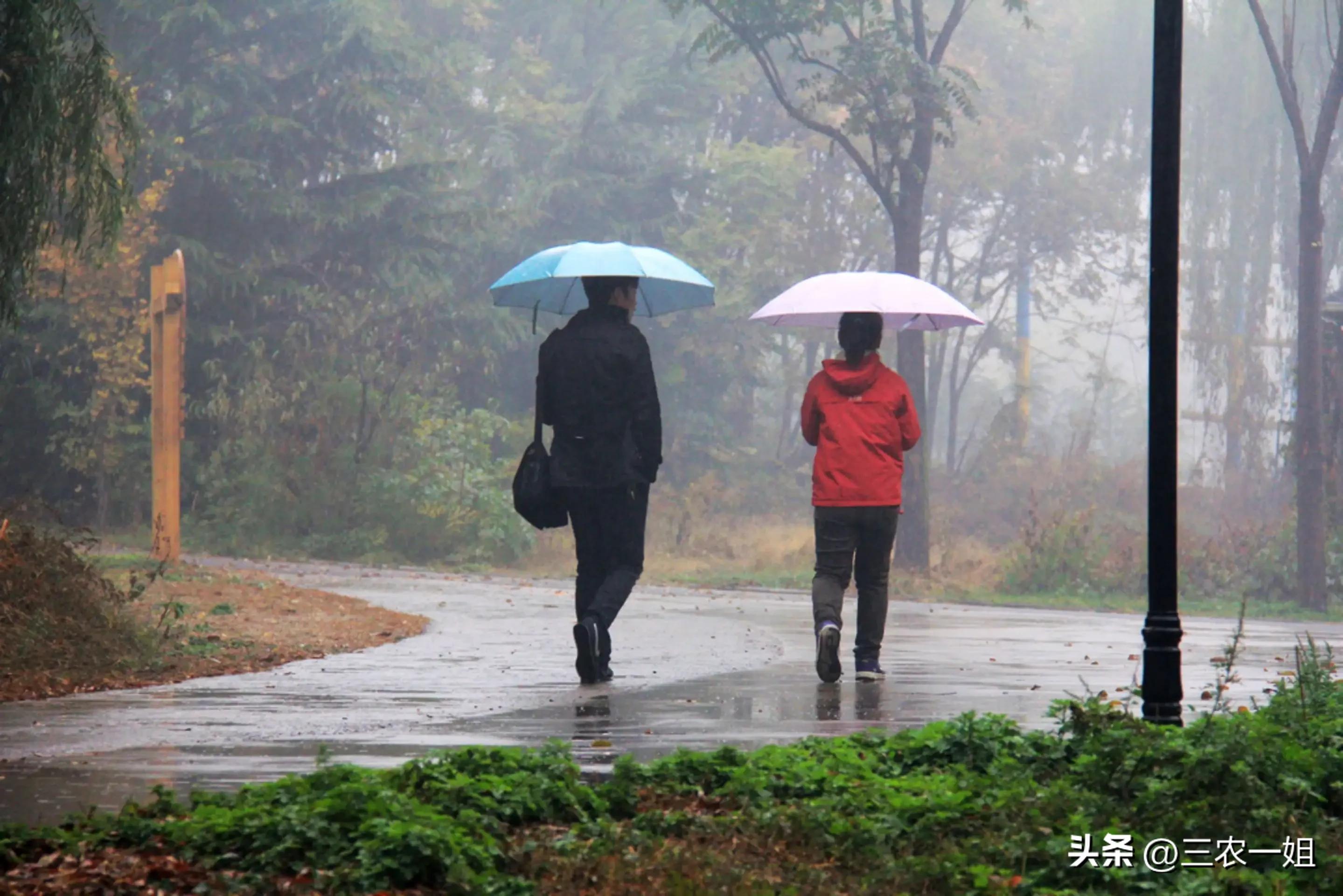 15天天气预报准确暴雨预警,天气预报大雨暴雨是什么标志