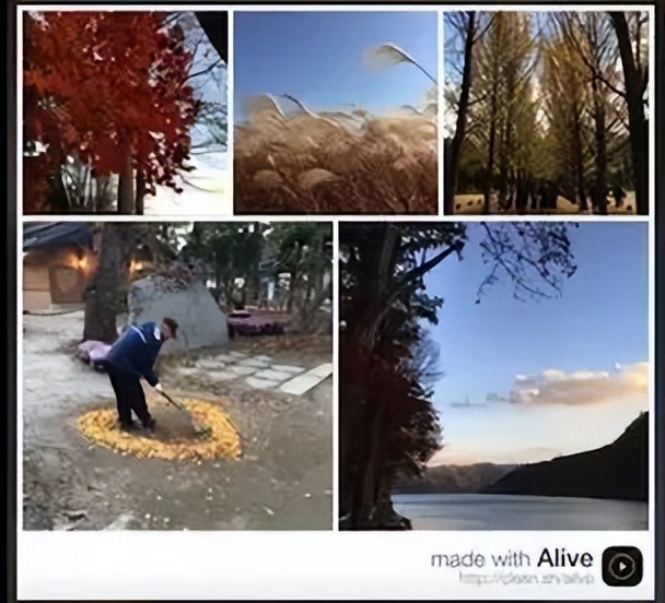 为什么苹果手机拍出来的照片模糊,为什么苹果拍出来的照片很占内存