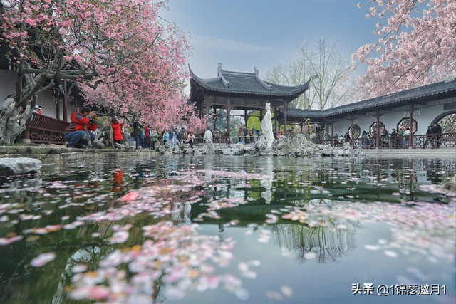 落英缤纷草书欣赏,落英缤纷美句简短