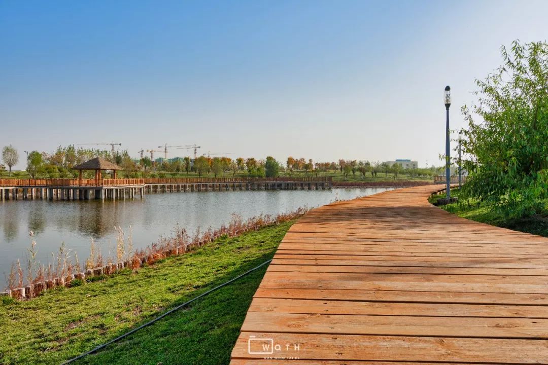 生态城城市公园,规划生态体育公园