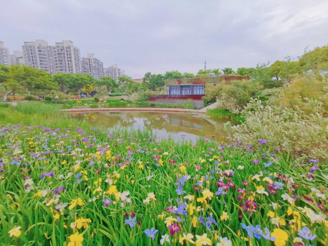 这个地方上榜啦!小虹带你足不出户,云赏美景!